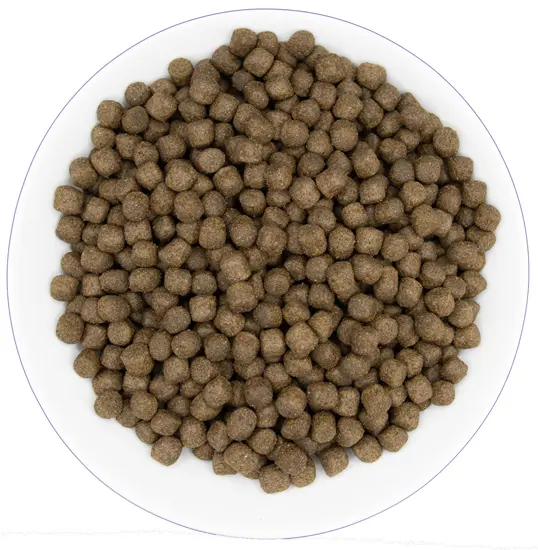 Hypoallergenic Adult Lamb Dog Food