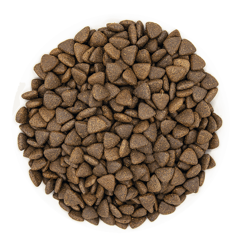 Grain Free Adult Chicken Dog Food