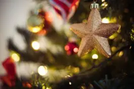 Star Christmas ornament hanging on a tree