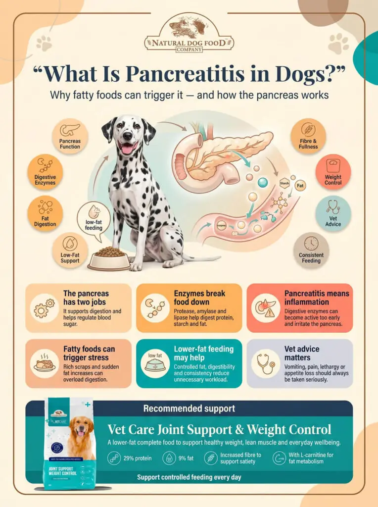 Infographic explaining pancreatitis and how to treat it.