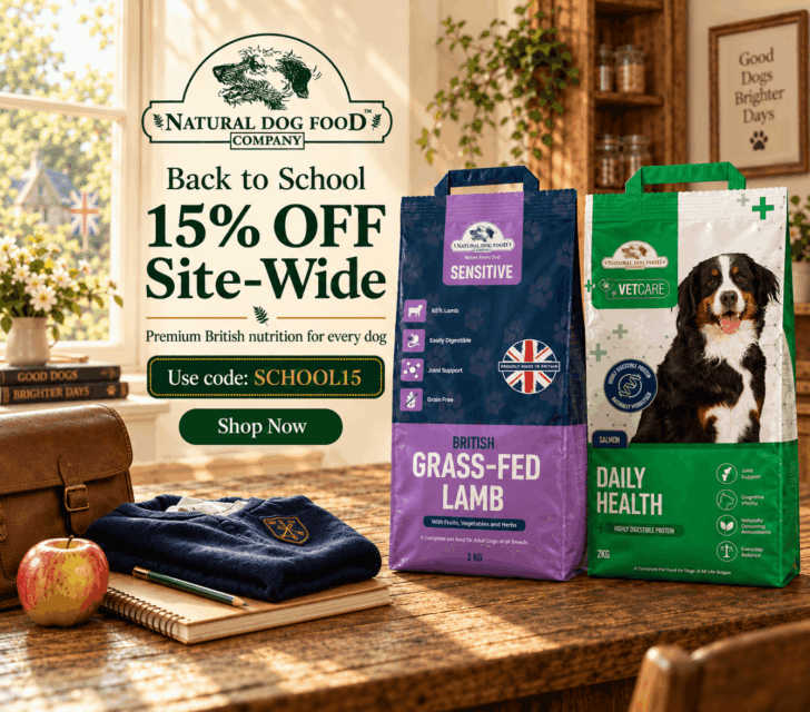 Back to School 15% off - use code SCHOOL15