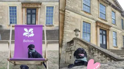 Two black Labradors sat in front of Belton House a National Trust site