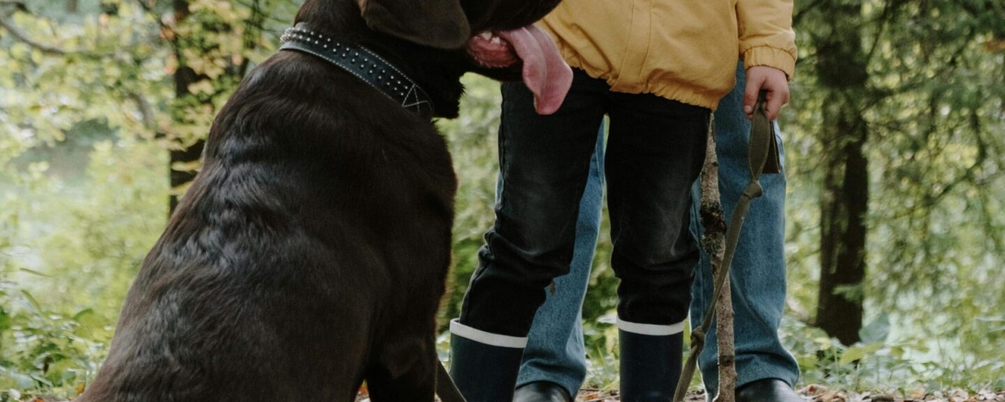 Adult and child walking dog