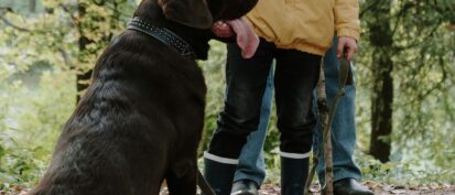 Adult and child walking dog