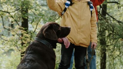 Adult and child walking dog