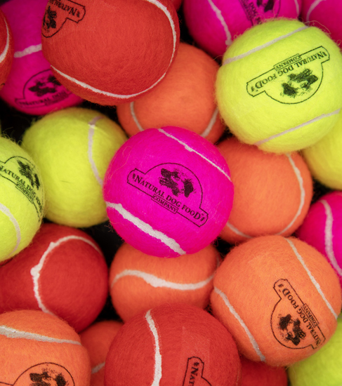Dog Bouncy Tennis Balls