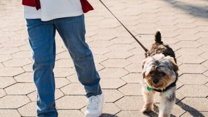 Child walking dog