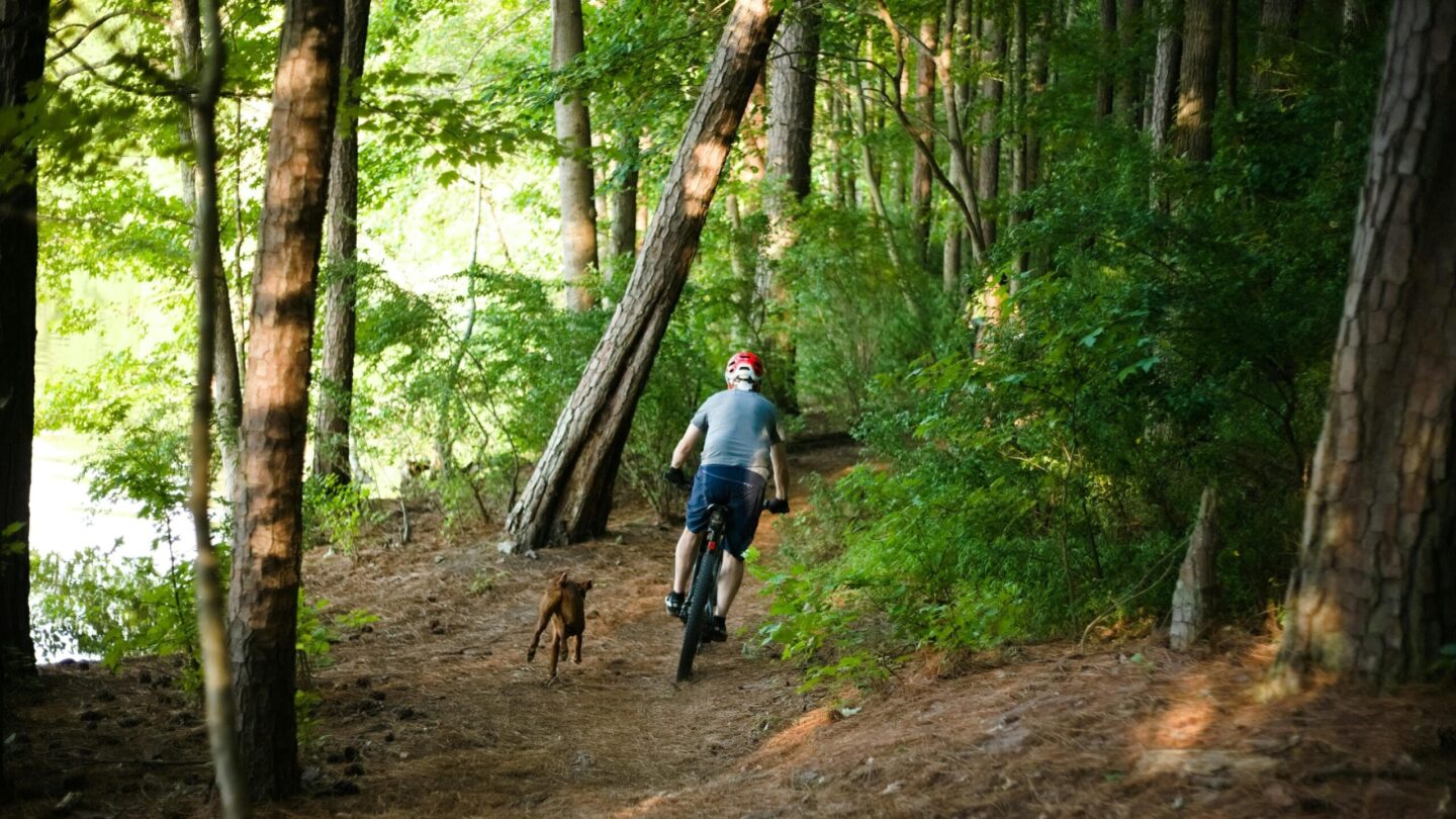 Mountain biking with a dog