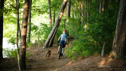 Mountain biking with a dog
