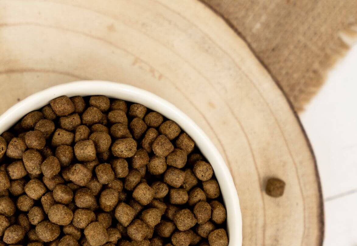 Best natural dog food
