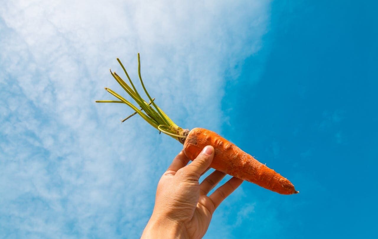 National Carrot day