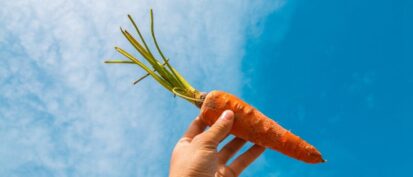 National Carrot day