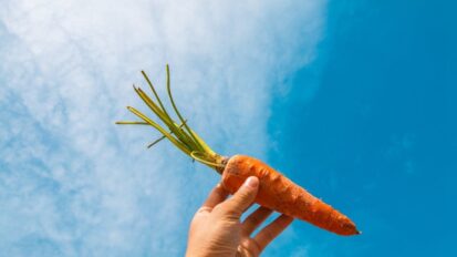 National Carrot day