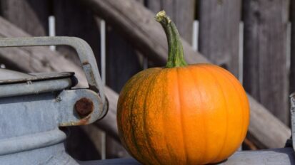 Pumpkin