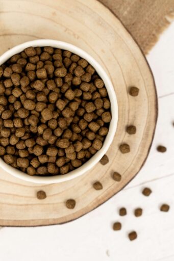 Kibble dog food