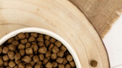 Kibble dog food in a bowl, sitting on a wood.