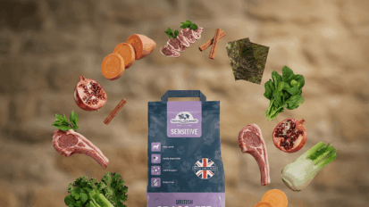 Switching your dog to a better food