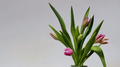 Mother's day flowers