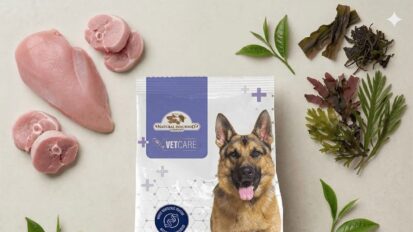 natural dog food company dental support dog food